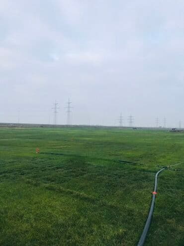 Ландшафтные работы: Qazon satışı kim isdese əlaqe saxlasın super qazondu at lalafo.az — 1 Ландшафтные работы: Qazon satışı kim isdese əlaqe saxlasın super qazondu — 1