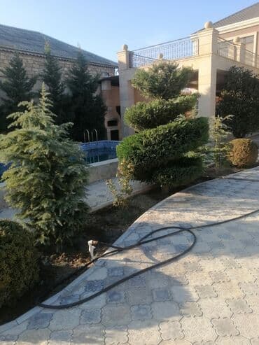 Tikiş: Bağban, 44 yaş, 5 ildən artıq təcrübə lalafo.az -da — 2 Tikiş: Bağban, 44 yaş, 5 ildən artıq təcrübə — 2