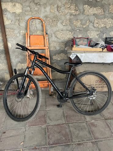 Dağ velosipedi 29", sürətlərin sayı: 7 lalafo.az -da Dağ velosipedi 29", sürətlərin sayı: 7