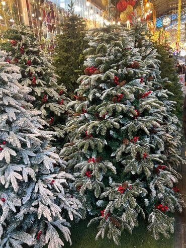 Yolka 701 Zontik Model 🌲1saat erzinde suretli catdirilma 🚚 📌120sm- lalafo.az -da Yolka 701 Zontik Model 🌲1saat erzinde suretli catdirilma 🚚 📌120sm-