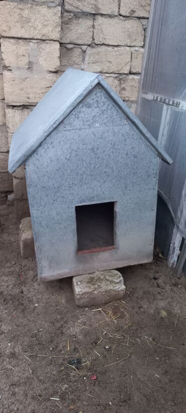 Satılır 70 manat.İt yuvası.Dəmir içi lambirin və lalafo.az -da Satılır 70 manat.İt yuvası.Dəmir içi lambirin və