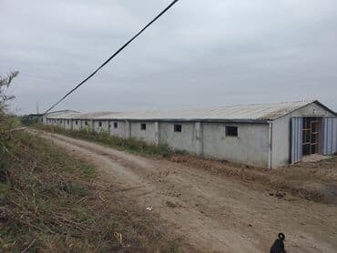 Ferma təsərrüfatı üçün hazır obyekt - Geniş torpaq sahəsi və açıq lalafo.az -da — 2 Ferma təsərrüfatı üçün hazır obyekt - Geniş torpaq sahəsi və açıq — 2