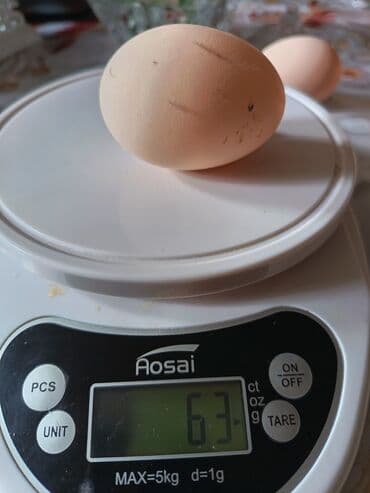 Təmiz qan avstralop Alman xetdi 🇩🇪 🔰 Yumurta 2 azn 🔰Cücə 3 azn 🔰 lalafo.az -da Təmiz qan avstralop Alman xetdi 🇩🇪 🔰 Yumurta 2 azn 🔰Cücə 3 azn 🔰