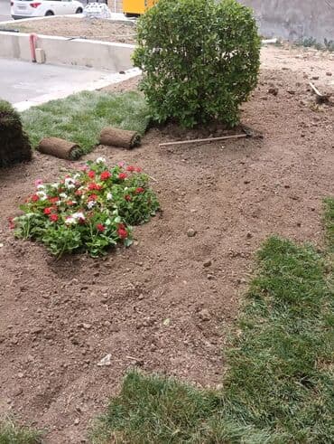 Qazon catrlma qurasdrma
torf gubresde var superdir lalafo.az -da Qazon catrlma qurasdrma
torf gubresde var superdir