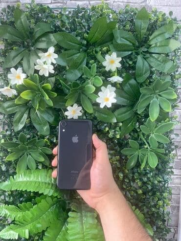 IPhone Xr, 64 GB, Qara, Zəmanət, Face ID lalafo.az -da IPhone Xr, 64 GB, Qara, Zəmanət, Face ID