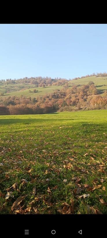 Гаражи: 24 соток, Для строительства, Собственник, Бялядия (муниципалитет) at lalafo.az — 4 Гаражи: 24 соток, Для строительства, Собственник, Бялядия (муниципалитет) — 4