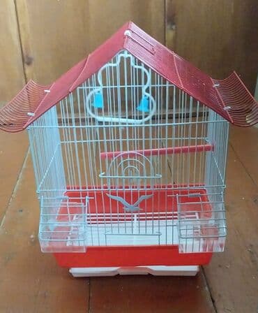 Миски для воды и еды: Tutuqusu (papuqay) ucun aksessuarlar, Mel +Duz - 1 azn Pampers - 3 at lalafo.az — 4 Миски для воды и еды: Tutuqusu (papuqay) ucun aksessuarlar, Mel +Duz - 1 azn Pampers - 3 — 4