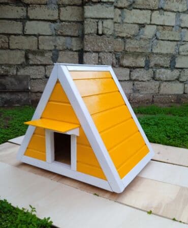 Müxtəlif formada və ölçüdə pişik və it məhsullarının sifarişlə lalafo.az -da Müxtəlif formada və ölçüdə pişik və it məhsullarının sifarişlə