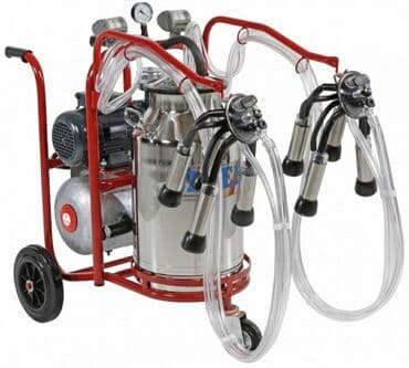 ПО для бизнеса: Двойной бидон, Турция, Нержавеющий бидон at lalafo.az — 3 ПО для бизнеса: Двойной бидон, Турция, Нержавеющий бидон — 3