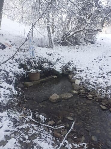 Ландшафтные работы: Kupcalı 41 sot torpaq 20 sotda satilir at lalafo.az — 8 Ландшафтные работы: Kupcalı 41 sot torpaq 20 sotda satilir — 8