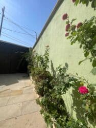 Çəngəllər: Biləcəri 5 otaqlı, 180 kv. m, Kredit yoxdur, Yeni təmirli lalafo.az -da — 5 Çəngəllər: Biləcəri 5 otaqlı, 180 kv. m, Kredit yoxdur, Yeni təmirli — 5