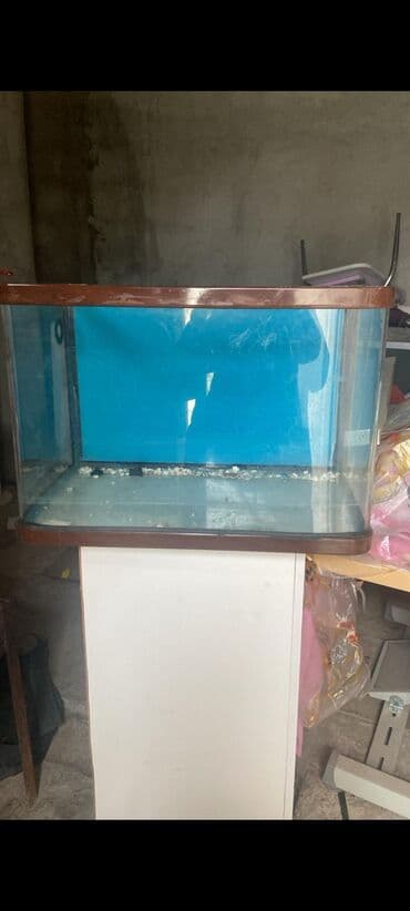 Dördbucaq akvarium, Boş, 50 l, Ünvandan götürmə lalafo.az -da Dördbucaq akvarium, Boş, 50 l, Ünvandan götürmə