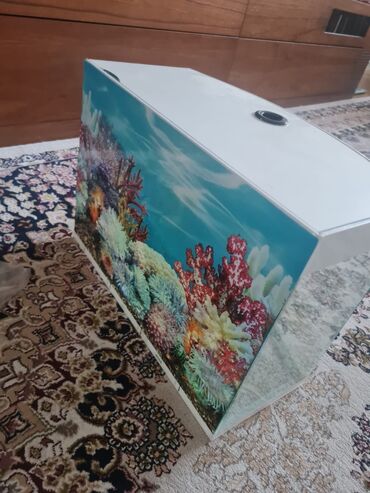 Nasos, işıq, hava vuran, istilik verən
 H 30x uz 43x en 22 lalafo.az -da Nasos, işıq, hava vuran, istilik verən
 H 30x uz 43x en 22