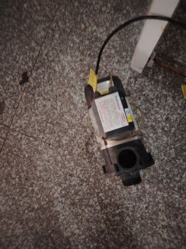 Джакузи ванны: Cakkuzi Yeni Kimidir Sadəcə Çirklidir Yumağ Lazımdı Hər Bir Şeyi at lalafo.az — 4 Джакузи ванны: Cakkuzi Yeni Kimidir Sadəcə Çirklidir Yumağ Lazımdı Hər Bir Şeyi — 4