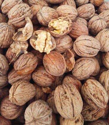 🏞️ Qubadan gəlib Super qozdur rahat bir əllə sındırmaq olur 👍🏻 Nazik lalafo.az -da 🏞️ Qubadan gəlib Super qozdur rahat bir əllə sındırmaq olur 👍🏻 Nazik