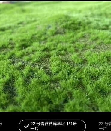 Bitki dərmanları: Məhsul: Təbiətvi̇ zolaqlı yosun/mahov örtüyü – hazır plitələr Təsvir lalafo.az -da — 3 Bitki dərmanları: Məhsul: Təbiətvi̇ zolaqlı yosun/mahov örtüyü – hazır plitələr Təsvir — 3