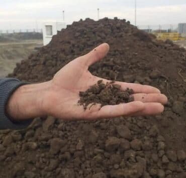 Другие растения: Qara torpaq İsmayıllı, Şamaxı, Mərəzə rayonları ərazisindən istəyə at lalafo.az — 2 Другие растения: Qara torpaq İsmayıllı, Şamaxı, Mərəzə rayonları ərazisindən istəyə — 2