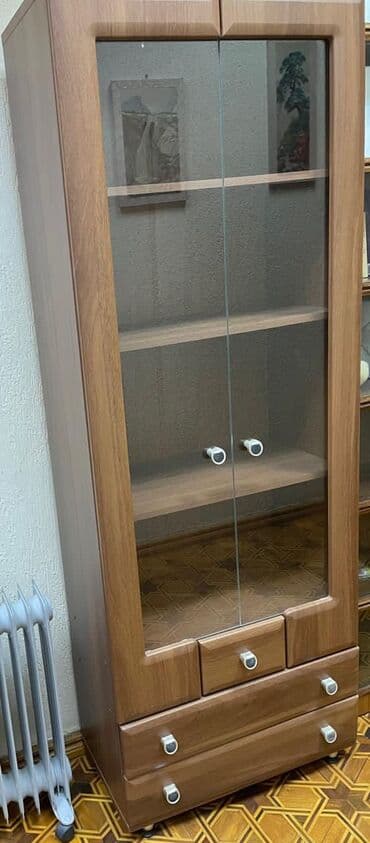 İşlənmiş, Açılan, 2 qapılı Düz dolab, Kitab dolabı lalafo.az -da İşlənmiş, Açılan, 2 qapılı Düz dolab, Kitab dolabı