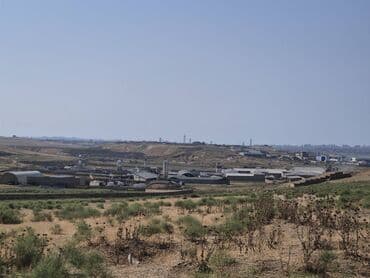 41 sot, Kənd təsərrüfatı, Makler, Kupça (Çıxarış) lalafo.az -da 41 sot, Kənd təsərrüfatı, Makler, Kupça (Çıxarış)