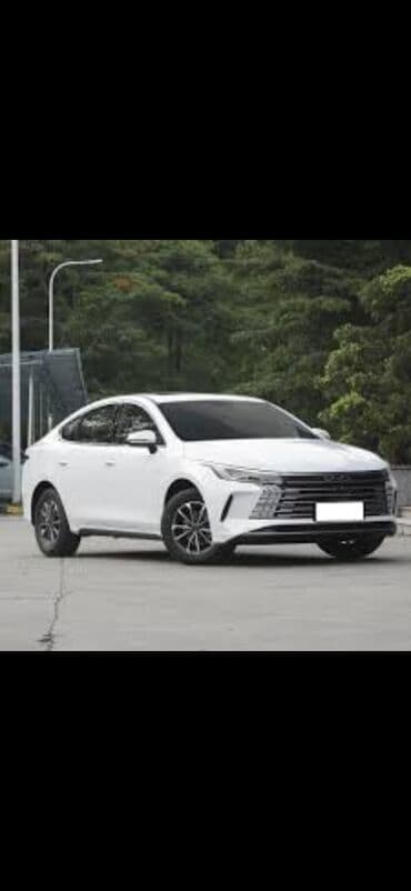 Günlük, Depozitlə lalafo.az -da Günlük, Depozitlə