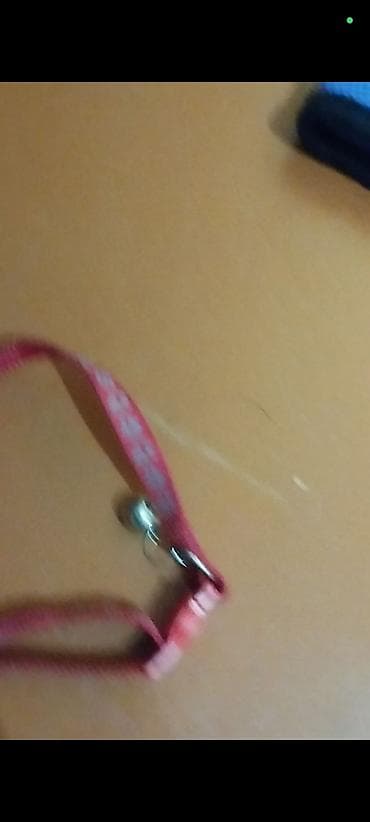 Pişik yaxalığı – tənzimlənən, zəngli - Rəng: çəhrayı - Material lalafo.az -da Pişik yaxalığı – tənzimlənən, zəngli - Rəng: çəhrayı - Material