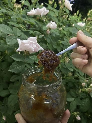 Ətirli itburnu mürəbbəsi - Bağda yetişdirilən ətirli itburnu at lalafo.az Ətirli itburnu mürəbbəsi - Bağda yetişdirilən ətirli itburnu