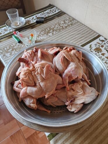 Рыба и морепродукты: Təmiz, kənd təsərrüfatı məhsulları: - Evdə saxlanılan toyuq sürüsü – at lalafo.az — 1 Рыба и морепродукты: Təmiz, kənd təsərrüfatı məhsulları: - Evdə saxlanılan toyuq sürüsü – — 1