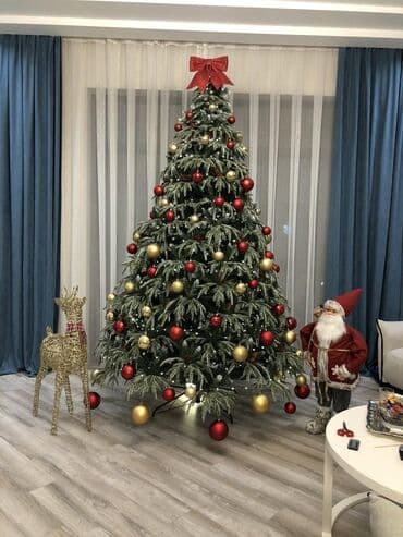 Premium model 2.10sm 701 model yolka .1saat ərzində unvana lalafo.az -da Premium model 2.10sm 701 model yolka .1saat ərzində unvana