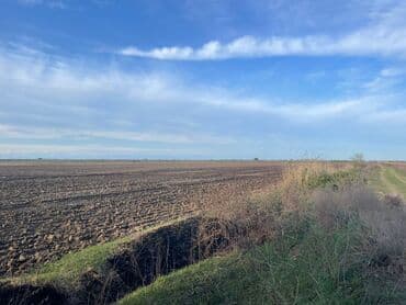 Kənd təsərrüfatı lalafo.az -da Kənd təsərrüfatı