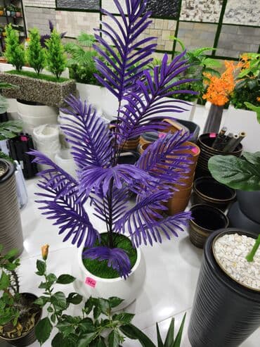 Bənövşəyi rəngli dekorativ süni palma bitkisi - Canlı bənövşəyi lalafo.az -da Bənövşəyi rəngli dekorativ süni palma bitkisi - Canlı bənövşəyi