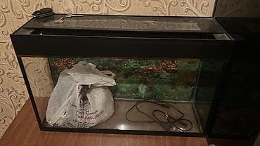 Akvarium içi daşları su filtiride uzerinde Uzunluq 60 sm hundurluk 38 lalafo.az -da Akvarium içi daşları su filtiride uzerinde Uzunluq 60 sm hundurluk 38