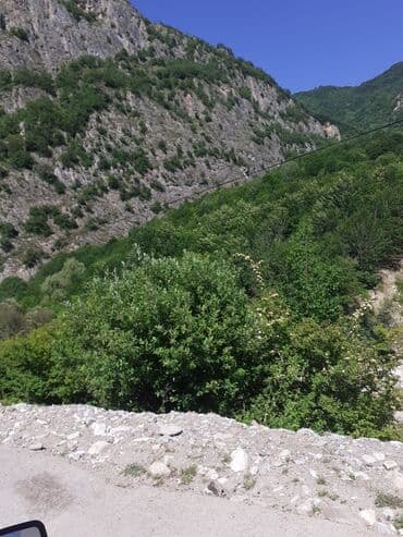 Ландшафтные работы: Kupcalı 41 sot torpaq 20 sotda satilir at lalafo.az — 9 Ландшафтные работы: Kupcalı 41 sot torpaq 20 sotda satilir — 9