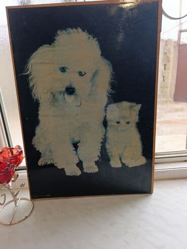 Dekorativ divar tablo/çərçivə - Mövzu: it və pişik təsvirli poster - lalafo.az -da Dekorativ divar tablo/çərçivə - Mövzu: it və pişik təsvirli poster -