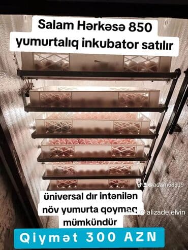 Salam 850 yumurtalıq inkubator satılır real alıcılar gəlib baxsın lalafo.az -da Salam 850 yumurtalıq inkubator satılır real alıcılar gəlib baxsın