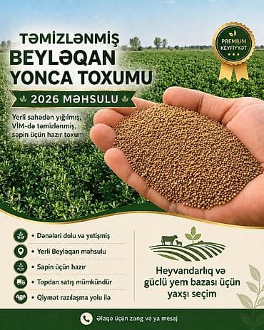 Məhsul: Təmizlənmiş Beyləqan yonca toxumu (2026 məhsulu) lalafo.az -da Məhsul: Təmizlənmiş Beyləqan yonca toxumu (2026 məhsulu)