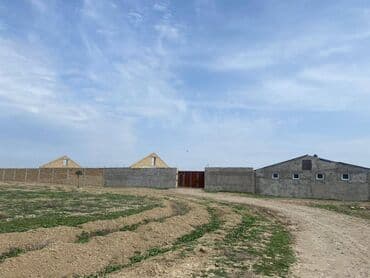 FERMA satılır Pirəkəşkül qəsəbəsində lalafo.az -da FERMA satılır Pirəkəşkül qəsəbəsində