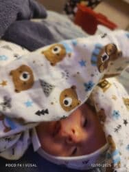 Ot yığımı üçün traktor qoşqusu – barmaqlı dönər havalandırıcı/çırpıcı lalafo.az -da Ot yığımı üçün traktor qoşqusu – barmaqlı dönər havalandırıcı/çırpıcı