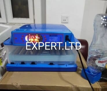 Toyuq, Yumurtalıq, Ünvandan götürmə, Ödənişli çatdırılma, Rayonlara çatdırılma lalafo.az -da Toyuq, Yumurtalıq, Ünvandan götürmə, Ödənişli çatdırılma, Rayonlara çatdırılma