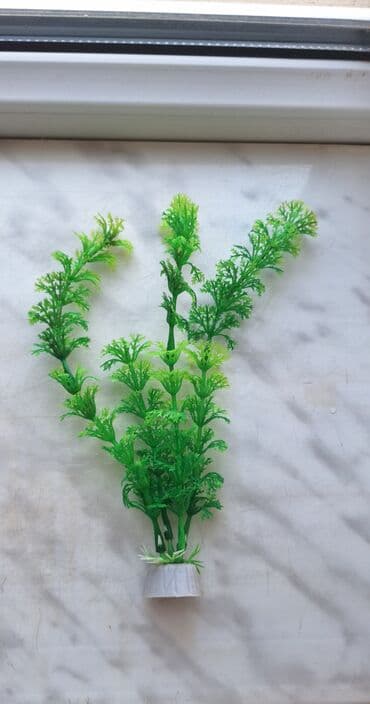 Akvaryum üçün dekorativ süni bitkilər dəsti - Rənglər: yaşıl lalafo.az -da Akvaryum üçün dekorativ süni bitkilər dəsti - Rənglər: yaşıl