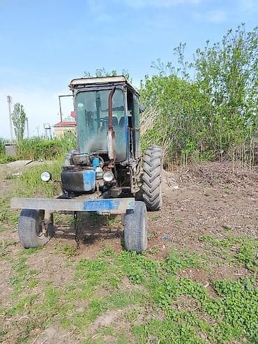 Tecili satilir lapet ot topalayan lalafo.az -da — 6 Tecili satilir lapet ot topalayan — 6