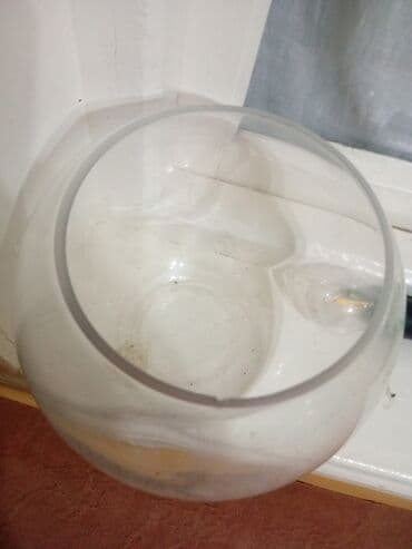 Bir vaza lalafo.az -da Bir vaza