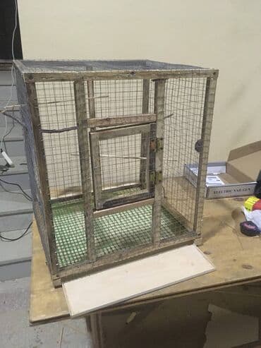 Qefes tezedi, hec istifade olunmayib. quslarin rahatigi ucun genisdir lalafo.az -da Qefes tezedi, hec istifade olunmayib. quslarin rahatigi ucun genisdir