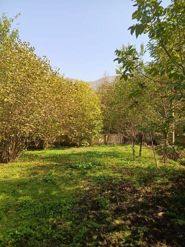 Реечные панели: 10 соток, Для бизнеса, Возможен обмен, Купчая at lalafo.az — 5 Реечные панели: 10 соток, Для бизнеса, Возможен обмен, Купчая — 5