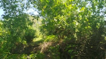 Great Wall: Tikinti, Mülkiyyətçi, Kupça (Çıxarış) lalafo.az -da — 6 Great Wall: Tikinti, Mülkiyyətçi, Kupça (Çıxarış) — 6