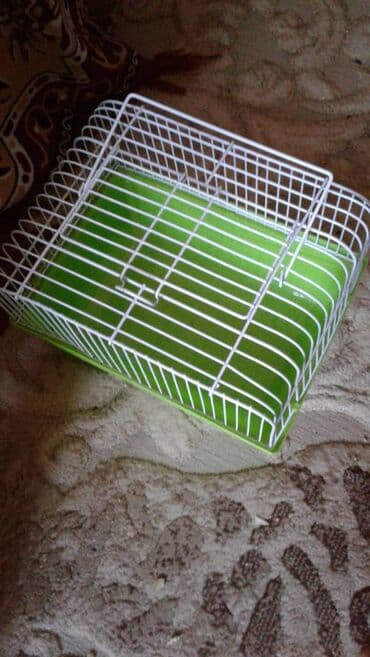 Təzədir. Cunqarik saxlamaq üçün idealdır. qəfəs, kletka, клетка lalafo.az -da Təzədir. Cunqarik saxlamaq üçün idealdır. qəfəs, kletka, клетка