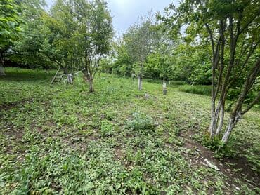 7 sot, Tikinti, Mülkiyyətçi, Kupça (Çıxarış) lalafo.az -da 7 sot, Tikinti, Mülkiyyətçi, Kupça (Çıxarış)