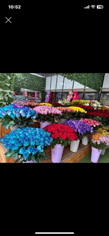Florist teleb olnur 30 40 azn masdı tecrubeli olmaldı bu sahede lalafo.az -da Florist teleb olnur 30 40 azn masdı tecrubeli olmaldı bu sahede