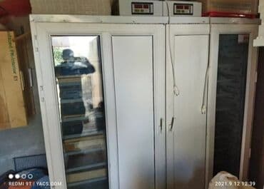 Inqibator heç bir problemi yoxdur işlək vəziyyətdədir 2800cixardir lalafo.az -da Inqibator heç bir problemi yoxdur işlək vəziyyətdədir 2800cixardir