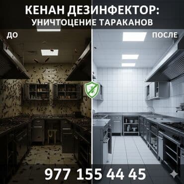 Dezinfeksiya, dezinseksiya | Tarakanlar | Kafe, mağazalar lalafo.az -da Dezinfeksiya, dezinseksiya | Tarakanlar | Kafe, mağazalar