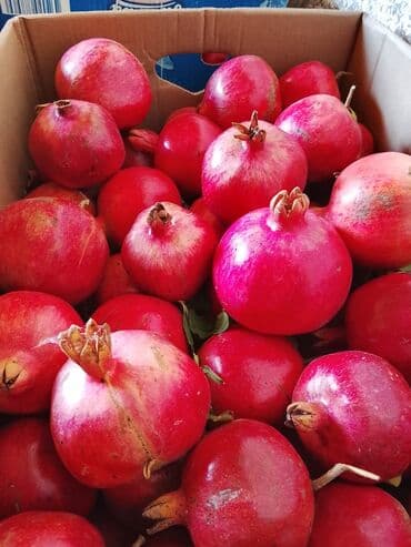 Salyan da di Nar gondermek cadirlam edilir rayon şeherlere sifariş lalafo.az -da Salyan da di Nar gondermek cadirlam edilir rayon şeherlere sifariş